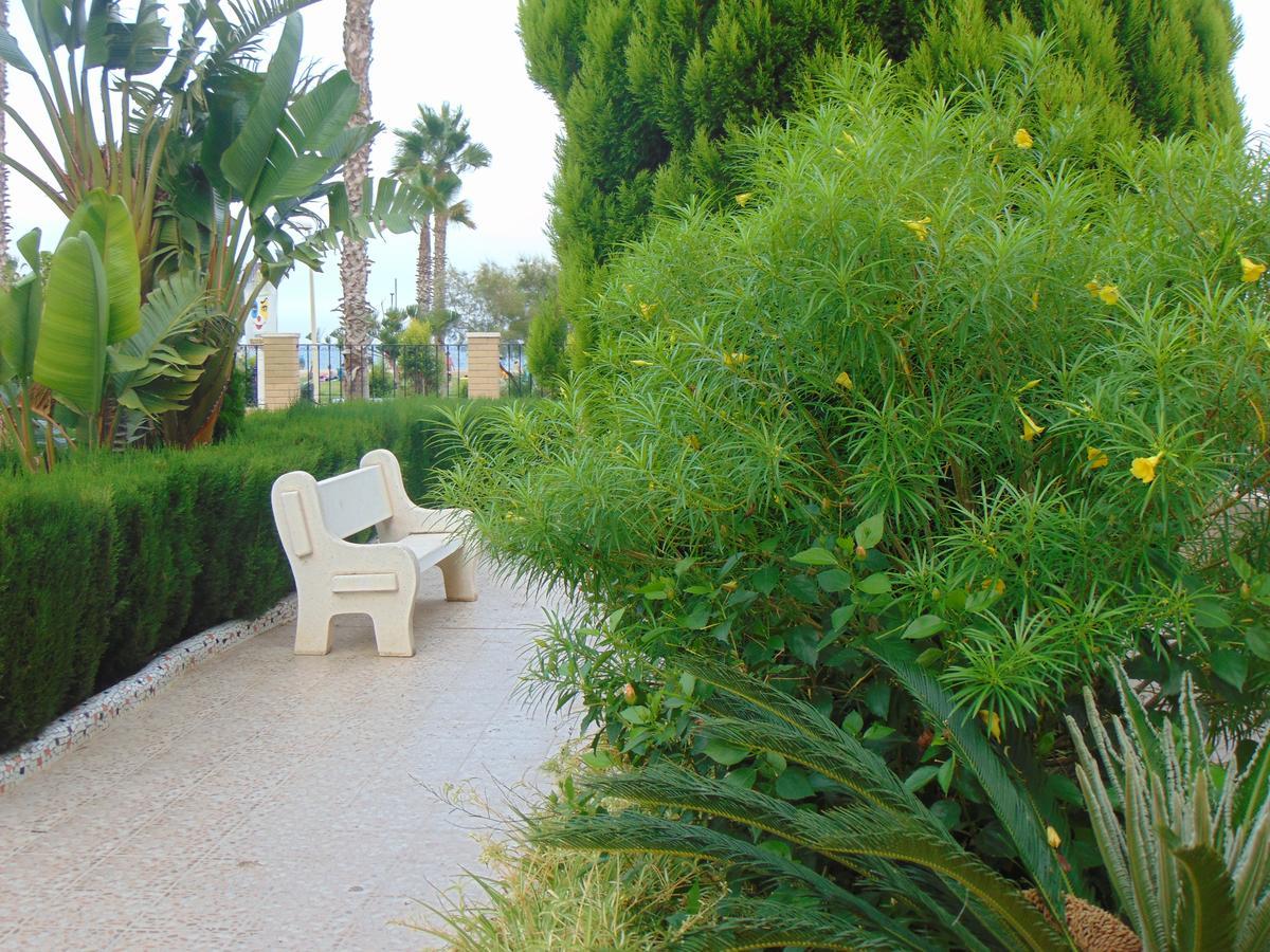 Apartamentos Varios Con 2 Dorm En Marina Dor , La Playa De Amplaries 47 , Vista Lateral Al Mar Oropesa del Mar Buitenkant foto